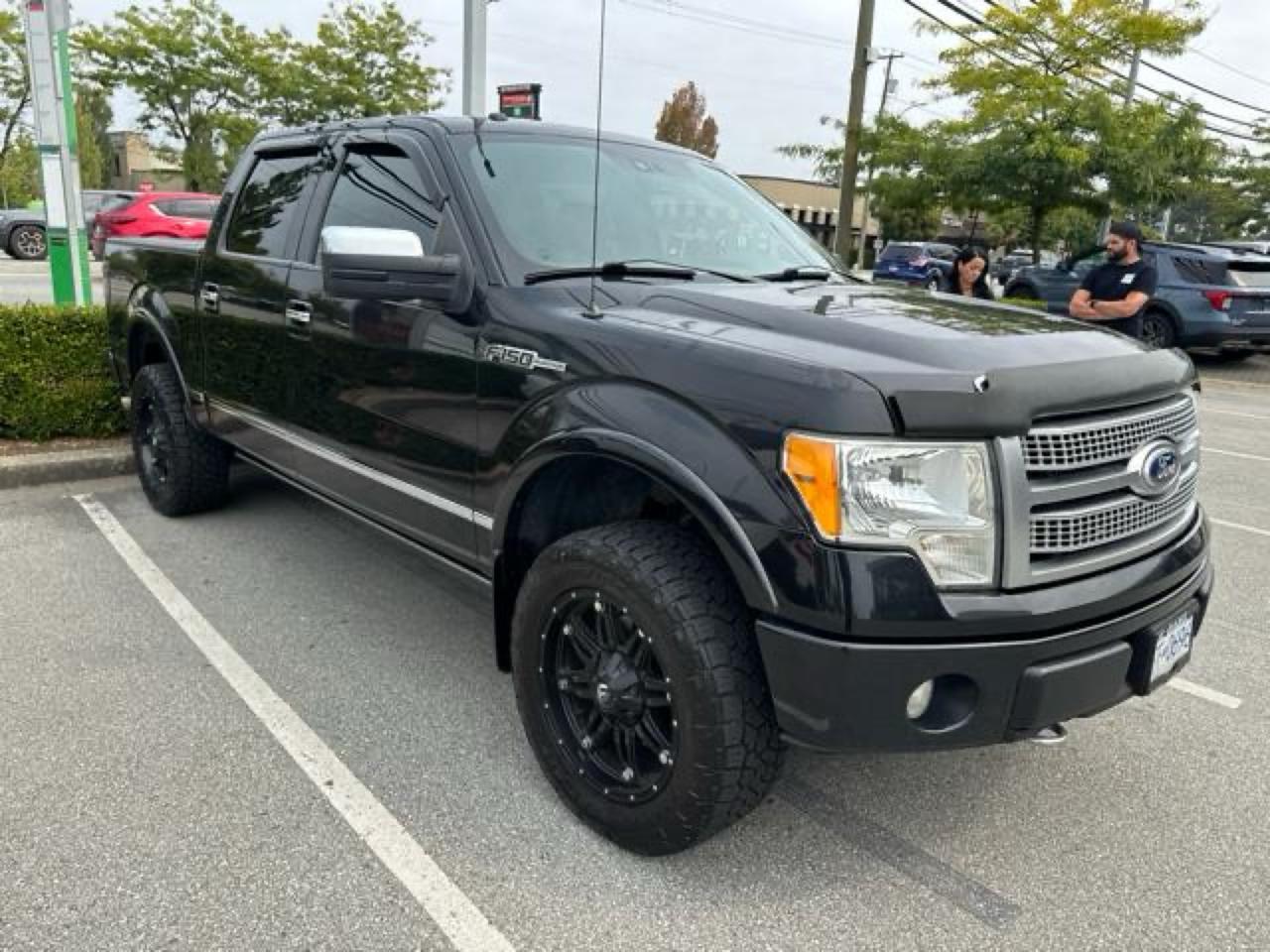 2010 Ford F-150 XLT Photo