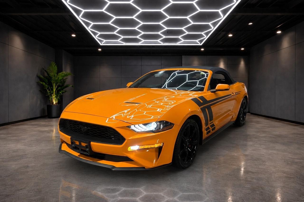 2019 Ford Mustang EcoBoost Convertible Photo
