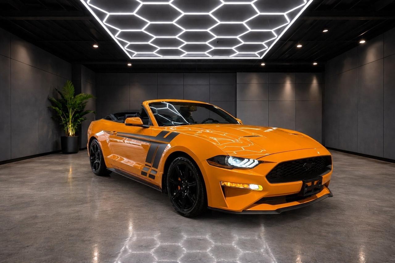 2019 Ford Mustang EcoBoost Convertible Photo