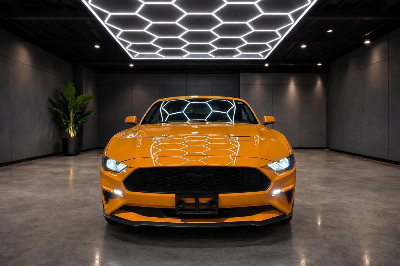 2019 Ford Mustang EcoBoost Convertible Photo