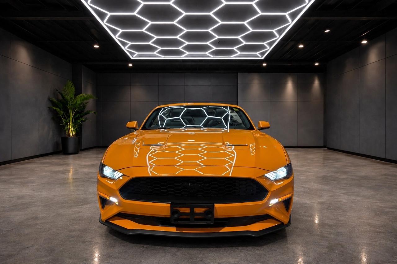 2019 Ford Mustang EcoBoost Convertible Photo2