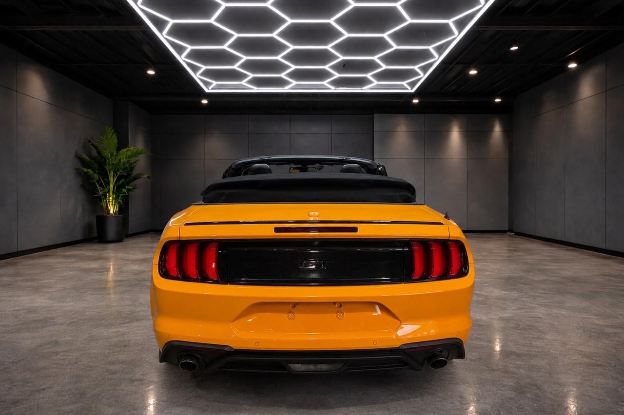 2019 Ford Mustang EcoBoost Convertible Photo