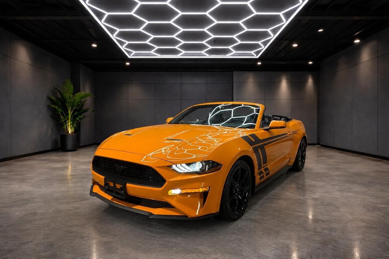 2019 Ford Mustang EcoBoost Convertible Photo