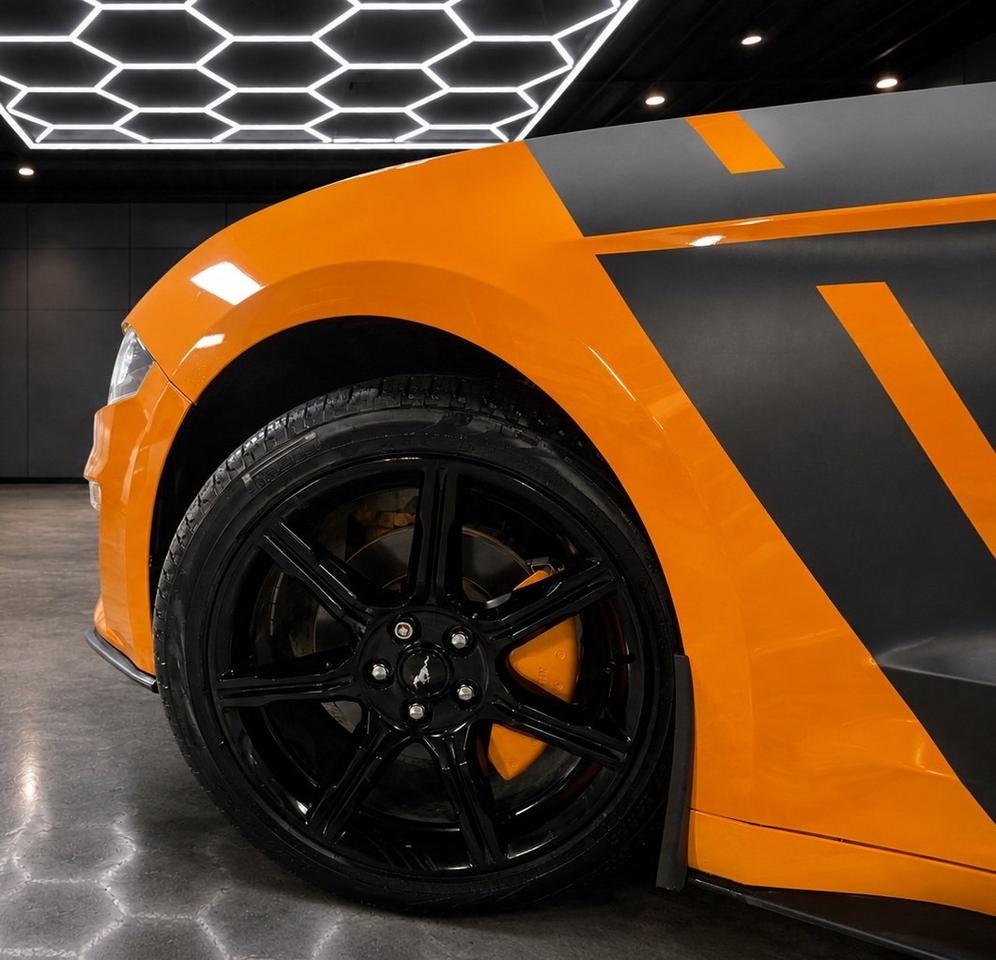 2019 Ford Mustang EcoBoost Convertible Photo