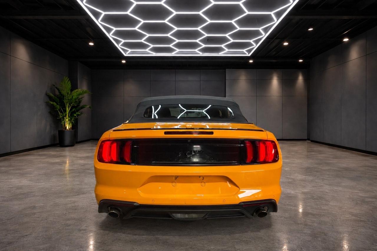 2019 Ford Mustang EcoBoost Convertible Photo