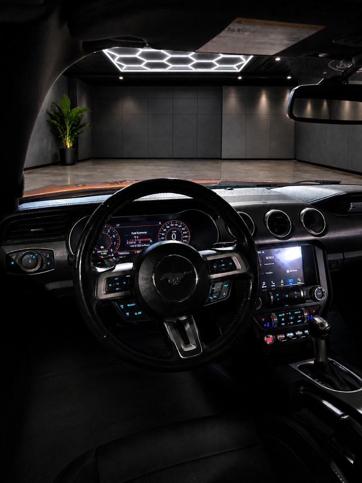 2019 Ford Mustang EcoBoost Convertible Photo