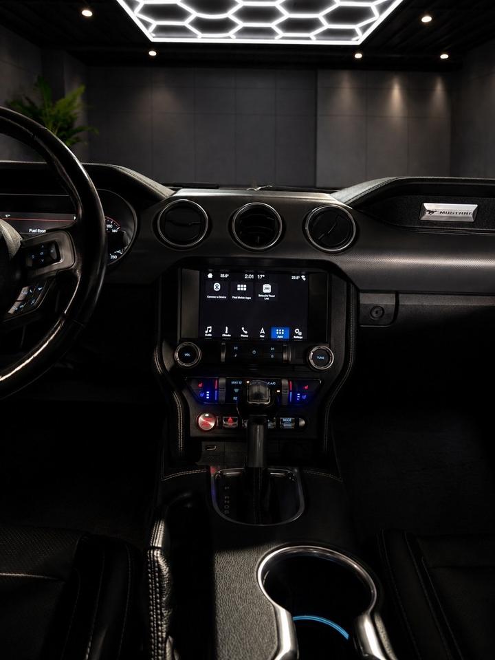 2019 Ford Mustang EcoBoost Convertible Photo