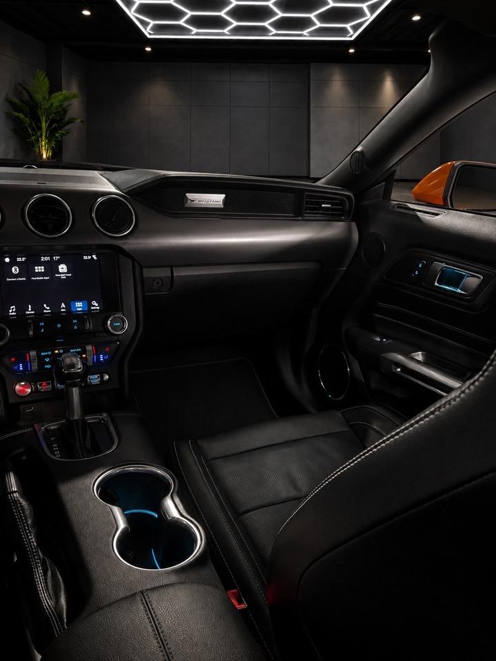 2019 Ford Mustang EcoBoost Convertible Photo