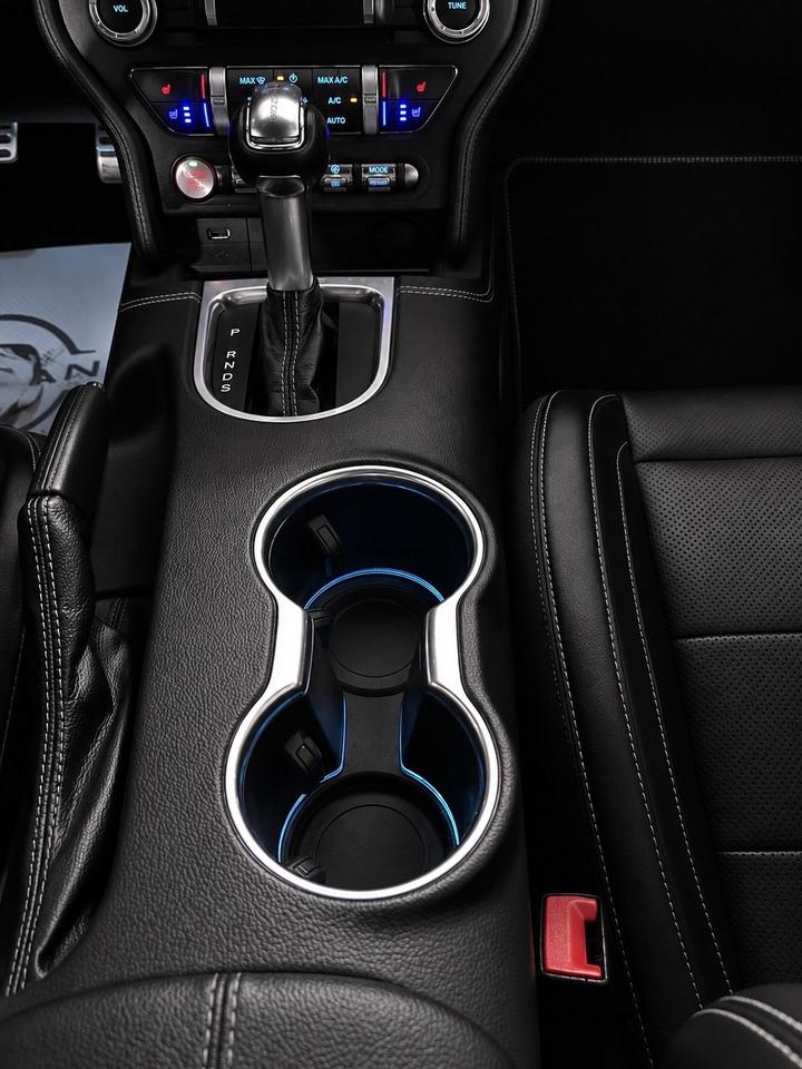 2019 Ford Mustang EcoBoost Convertible Photo