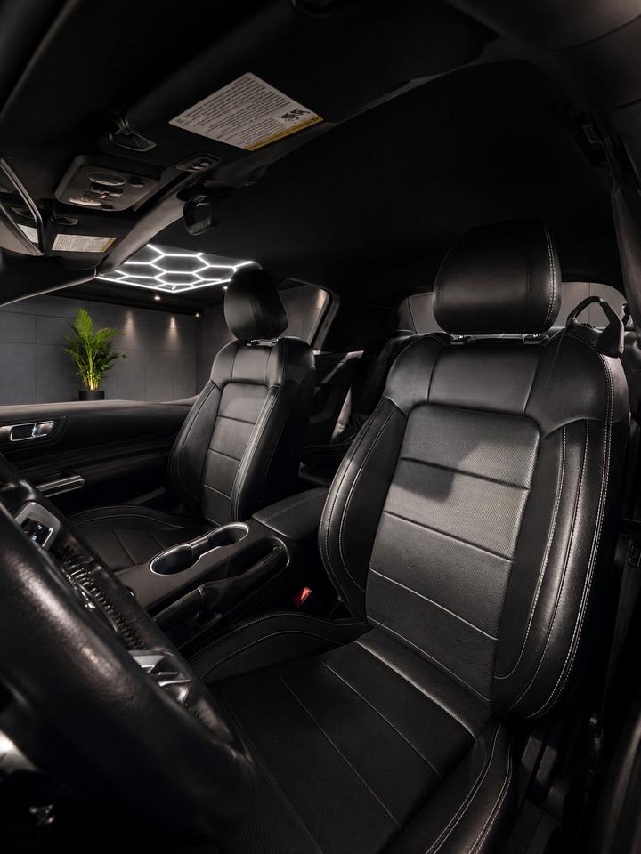 2019 Ford Mustang EcoBoost Convertible Photo