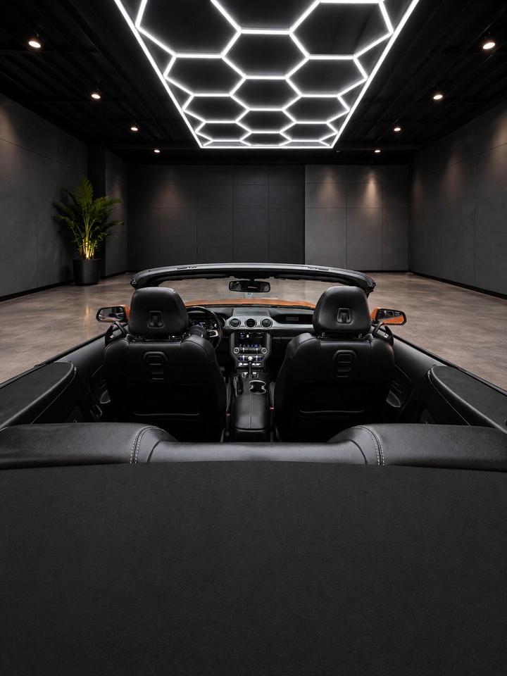 2019 Ford Mustang EcoBoost Convertible Photo