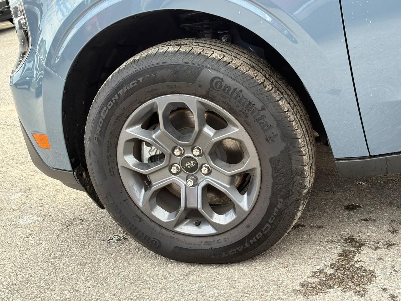 2026 Ford Maverick XLT AWD SuperCrew Photo
