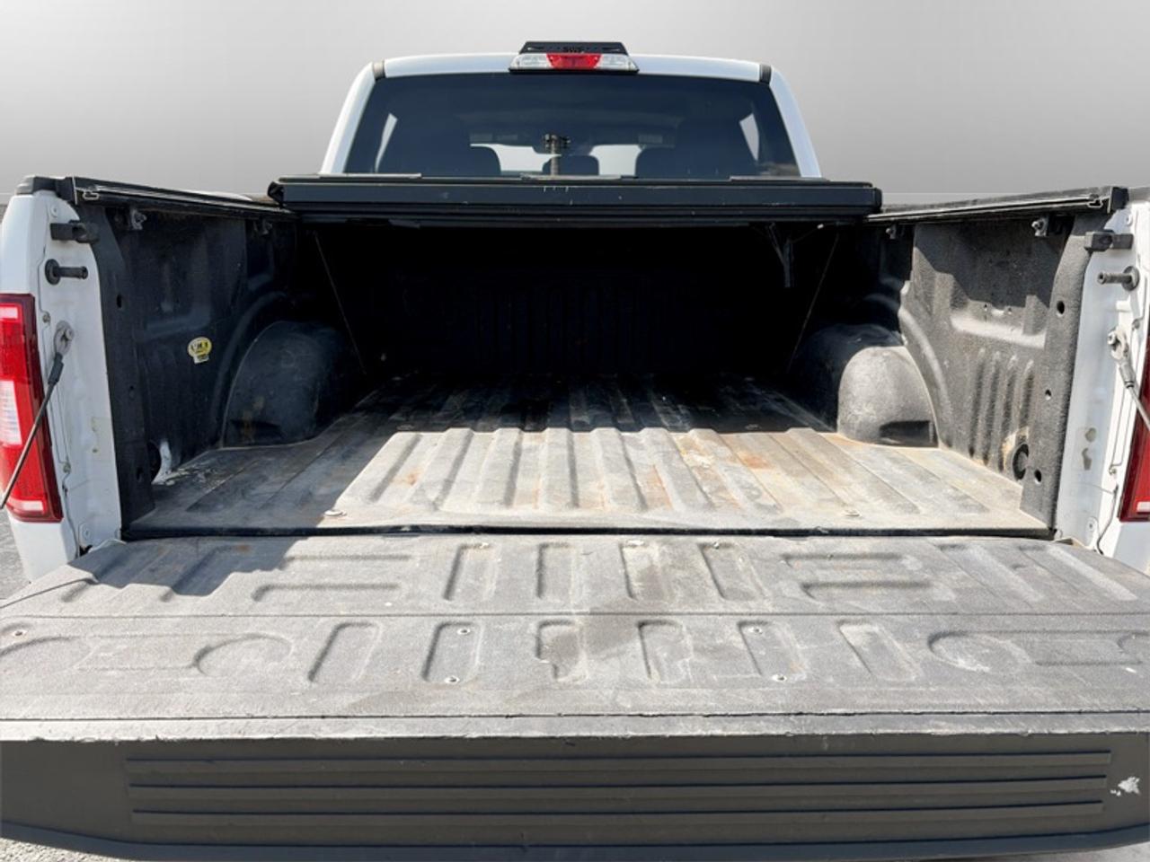 2020 Ford F-150 XLT Photo