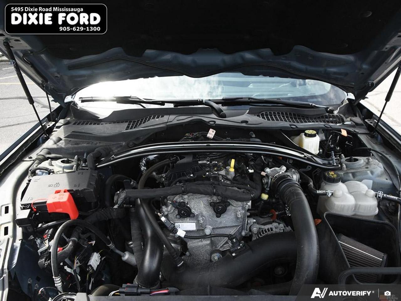 2024 Ford Mustang EcoBoost Premium Photo
