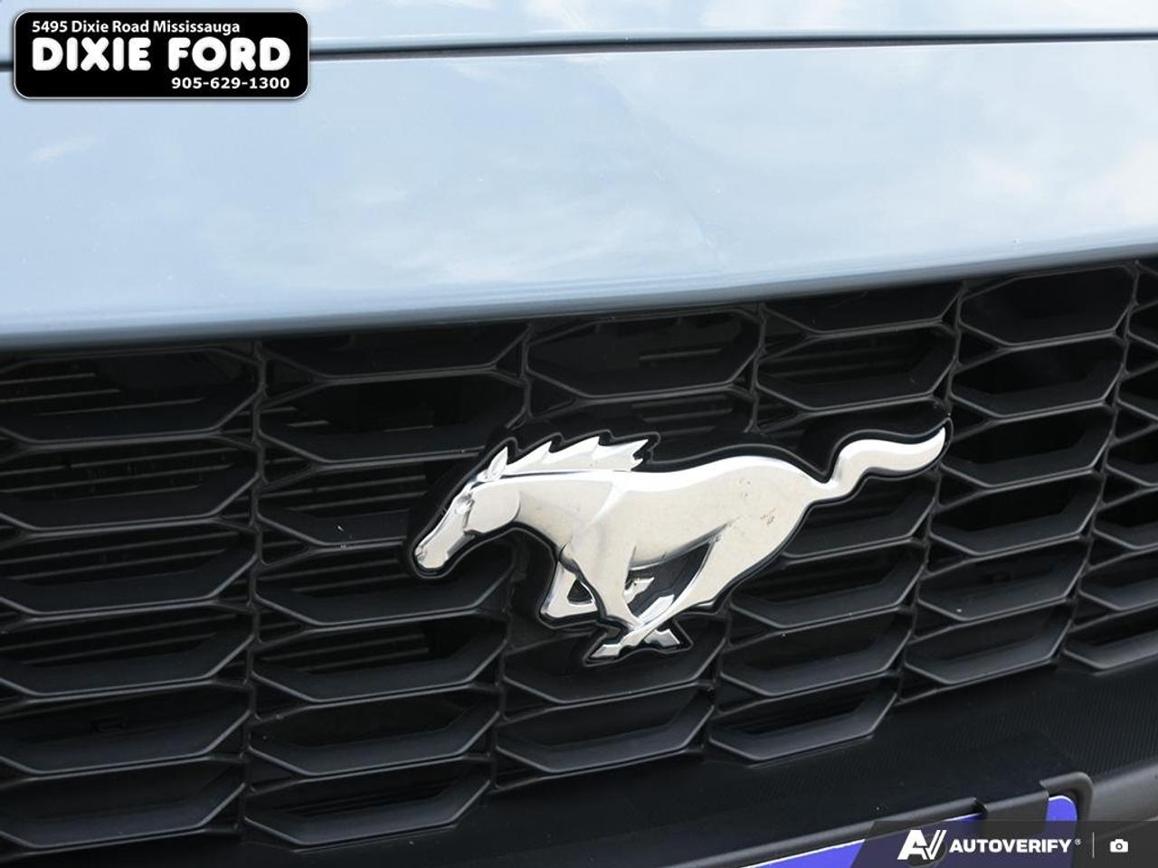 2024 Ford Mustang EcoBoost Premium Photo