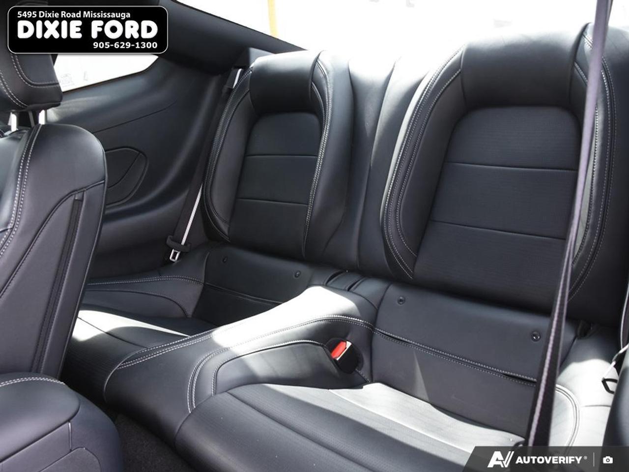 2024 Ford Mustang EcoBoost Premium Photo