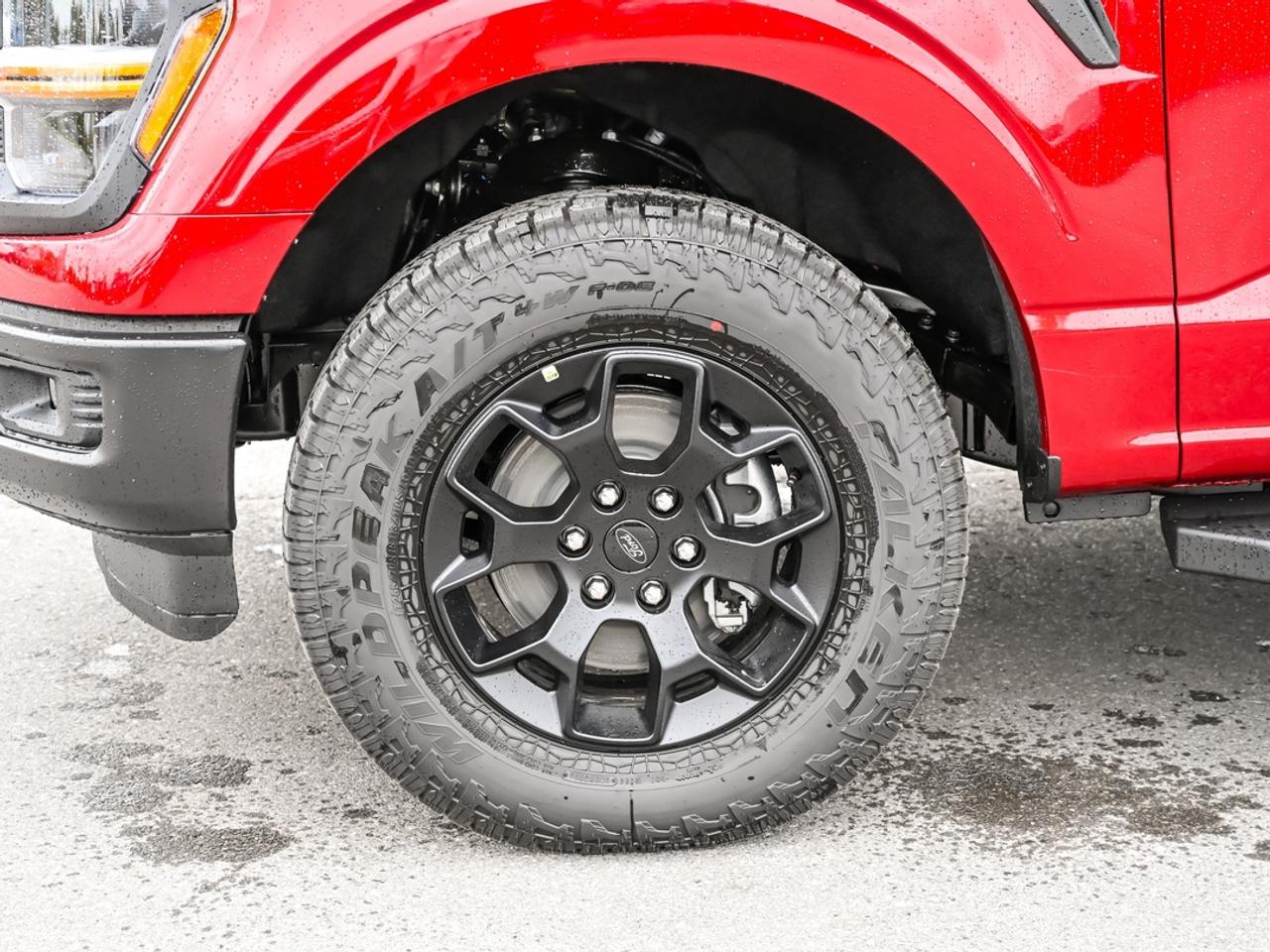 2026 Ford F-150 STX Photo