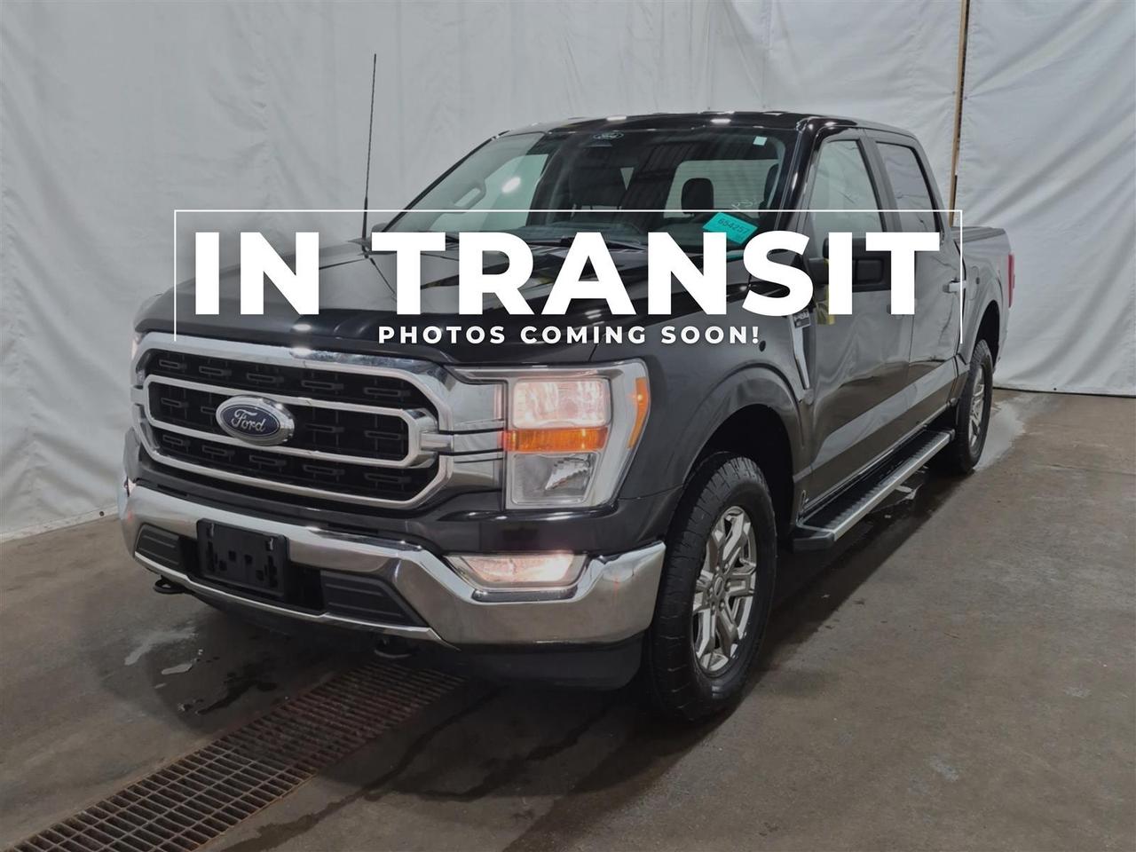 Used 2022 Ford F-150 XLT CREW CAB | 4X4 | XTR PKG | 18 SERVICE RECORDS | NO ACCIDENTS for sale in Kitchener, ON