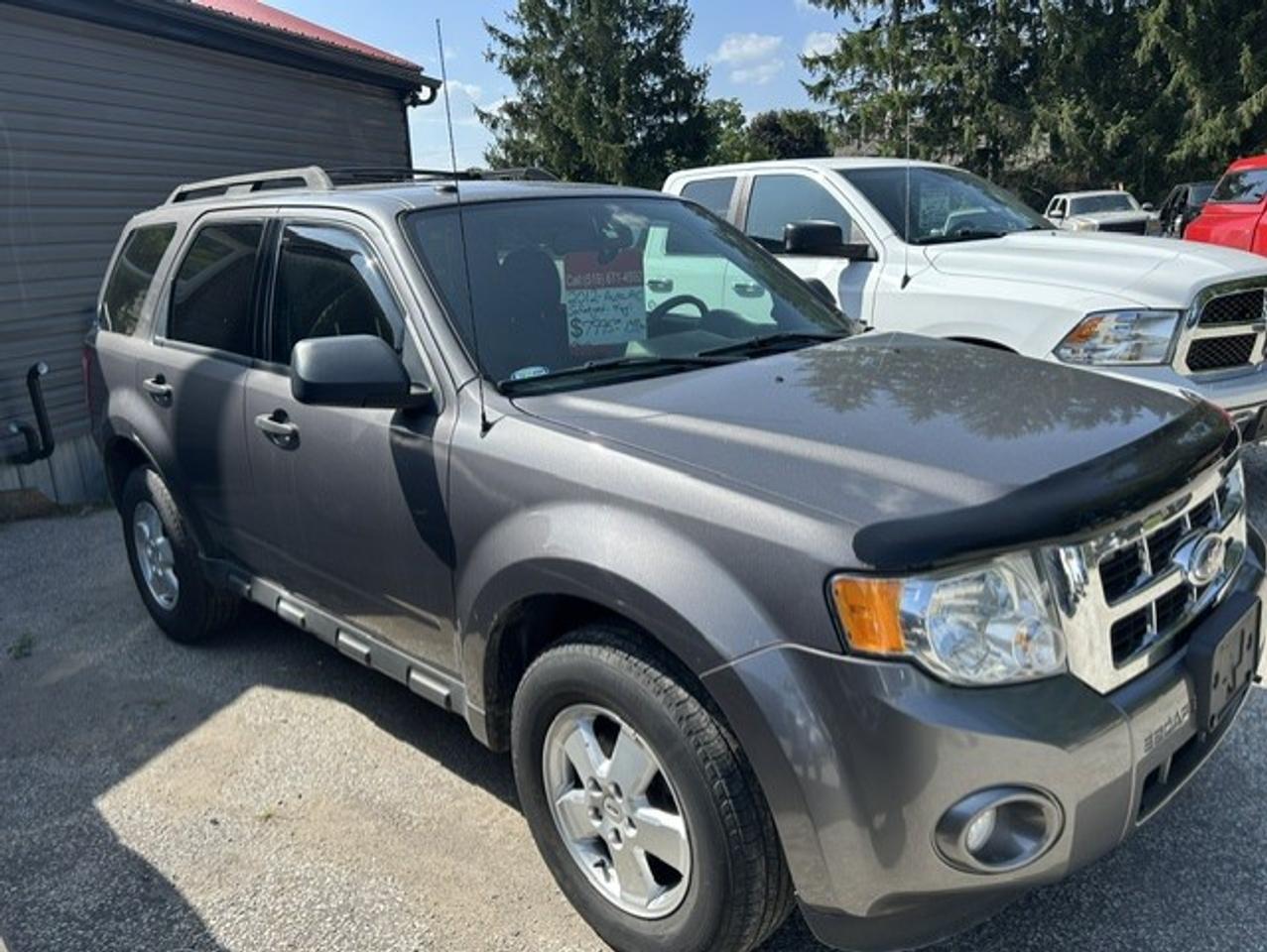 2012 Ford Escape XLT Photo1