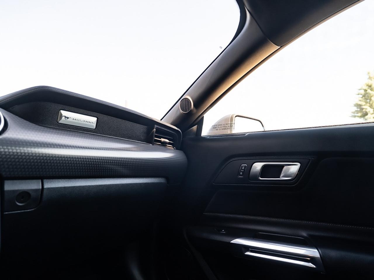 2021 Ford Mustang GT Photo33