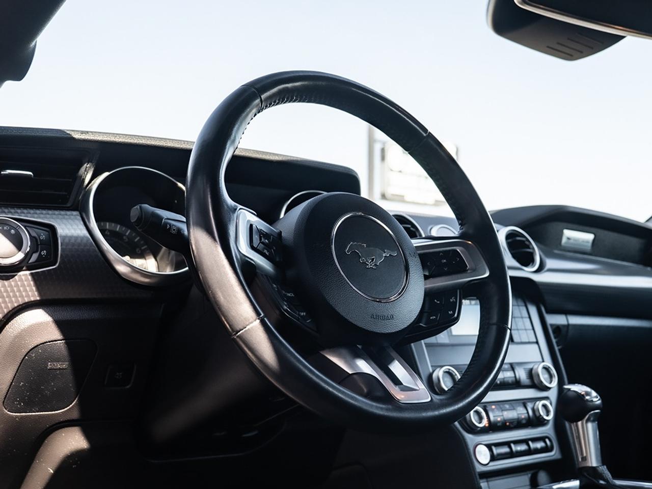 2021 Ford Mustang GT Photo27