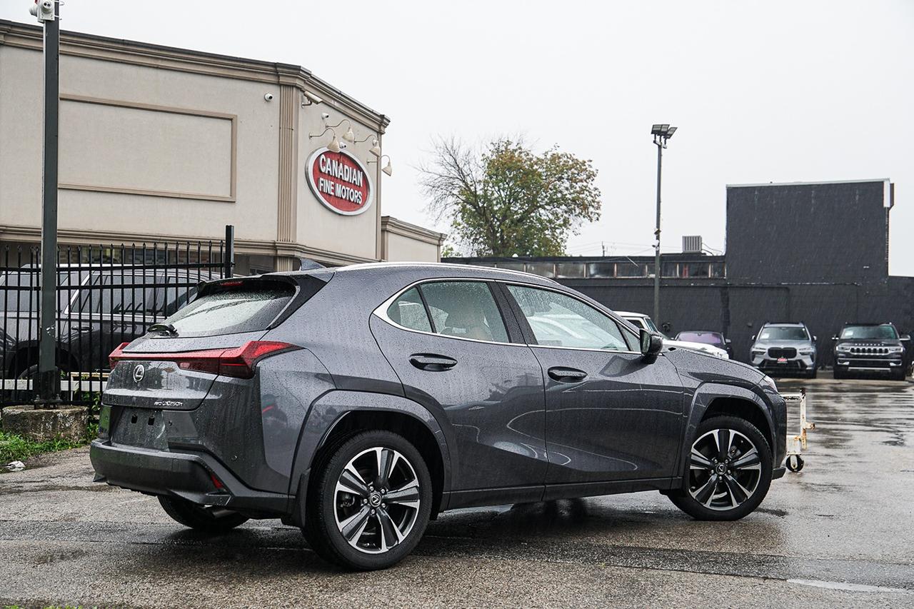 2024 Lexus UX UX 250h HYBRID|AWD|ONE OWNER|BSM|COOLED SEAT| Photo