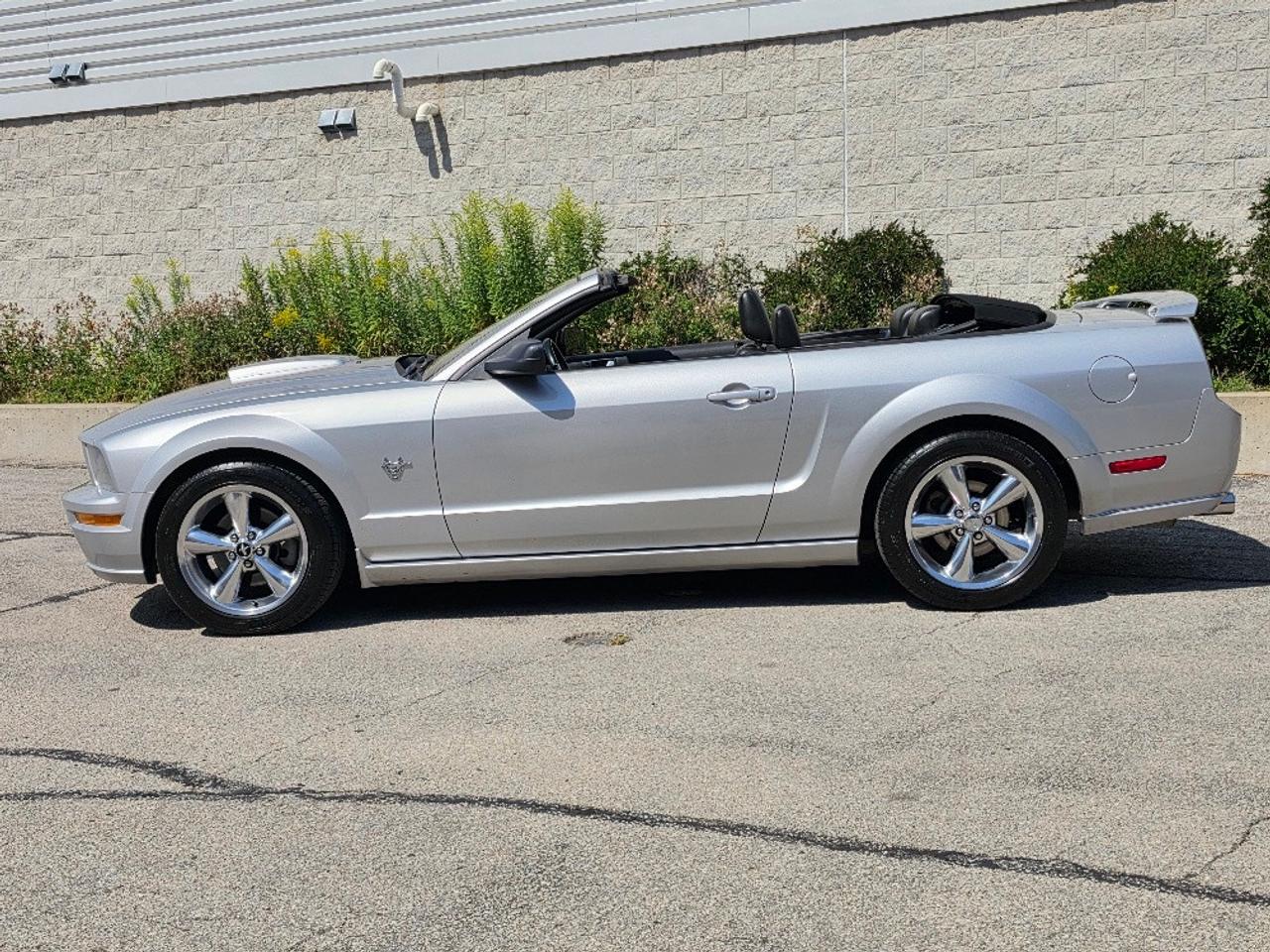 2009 Ford Mustang GT CONVERTIBLE-5 SPEED MANUAL-V8 Photo