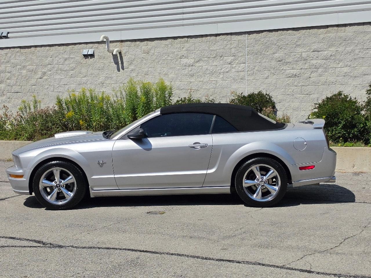 2009 Ford Mustang GT CONVERTIBLE-5 SPEED MANUAL-V8 Photo