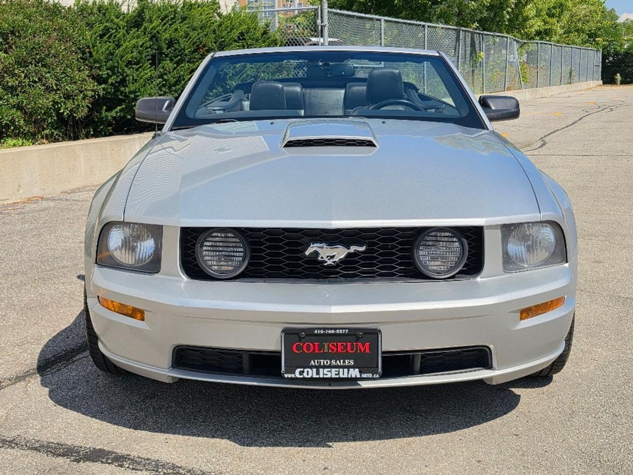 2009 Ford Mustang GT CONVERTIBLE-5 SPEED MANUAL-V8 Photo