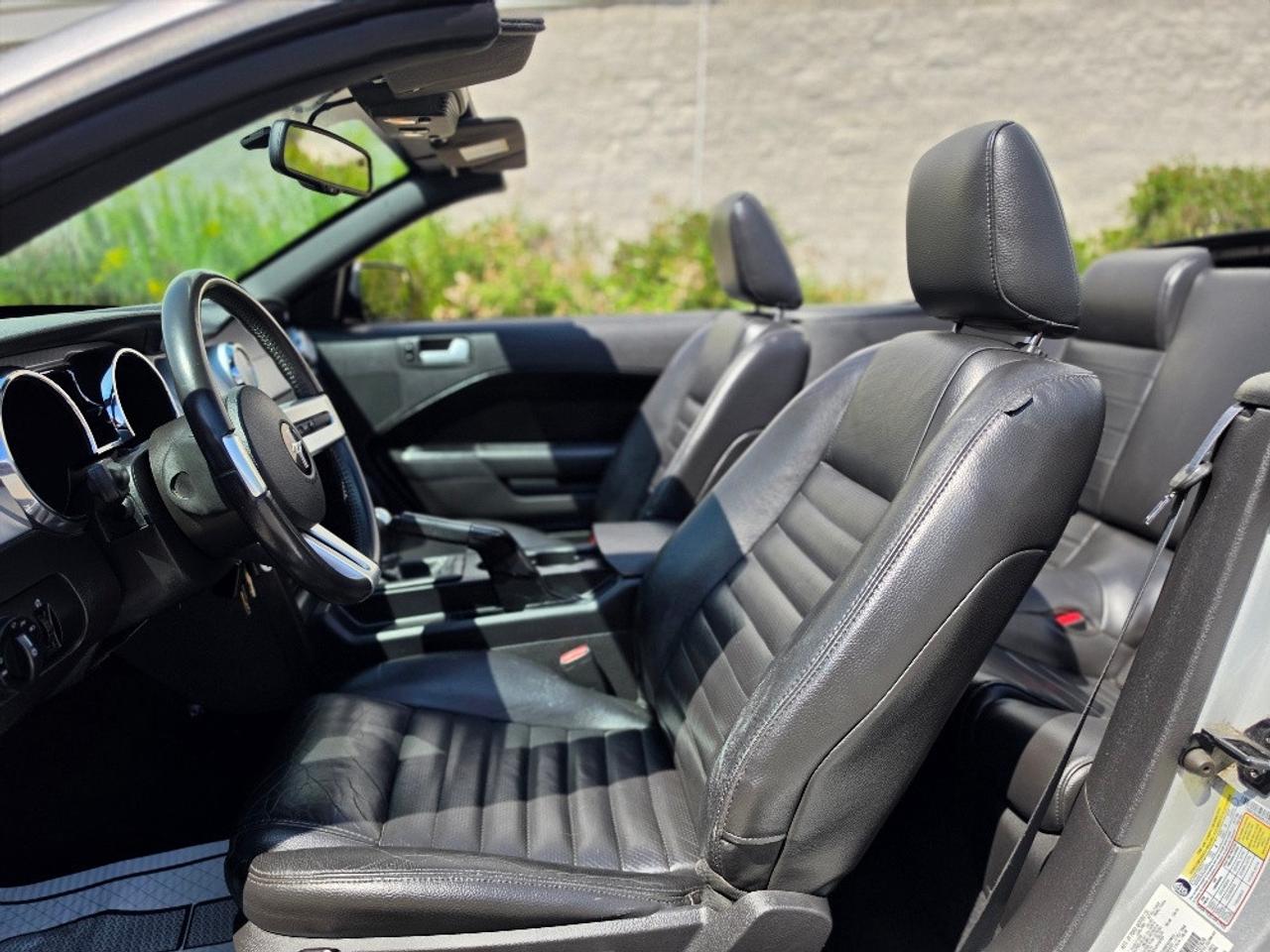 2009 Ford Mustang GT CONVERTIBLE-5 SPEED MANUAL-V8 Photo