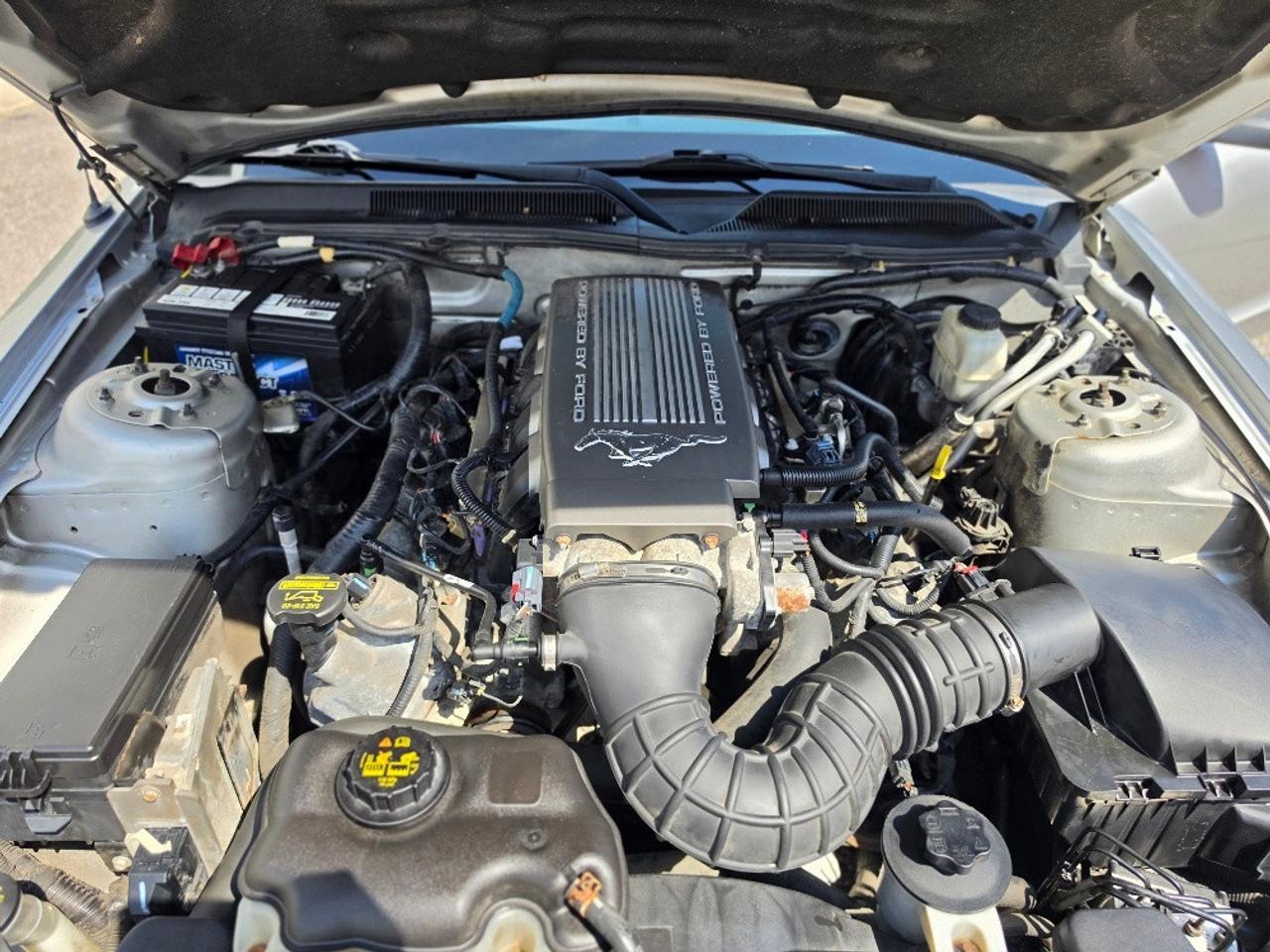 2009 Ford Mustang GT CONVERTIBLE-5 SPEED MANUAL-V8 Photo