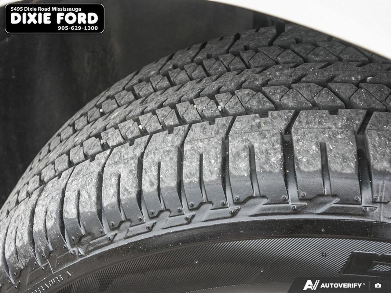 2019 Ford Expedition Platinum Photo
