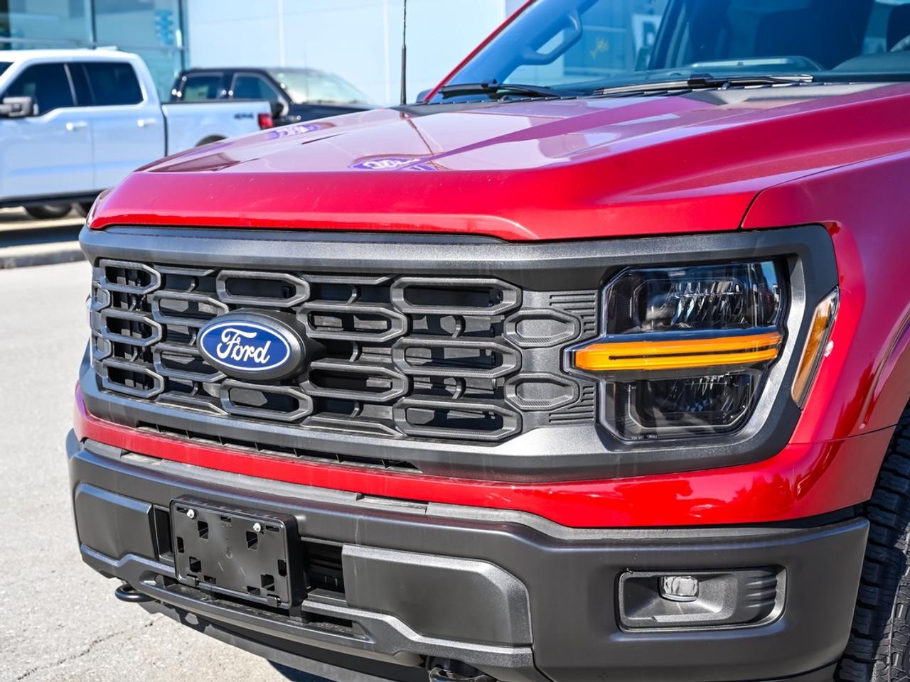 2026 Ford F-150 STX Photo