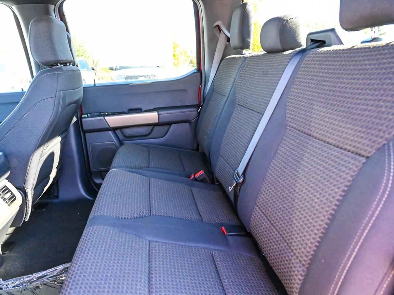 2026 Ford F-150 STX Photo