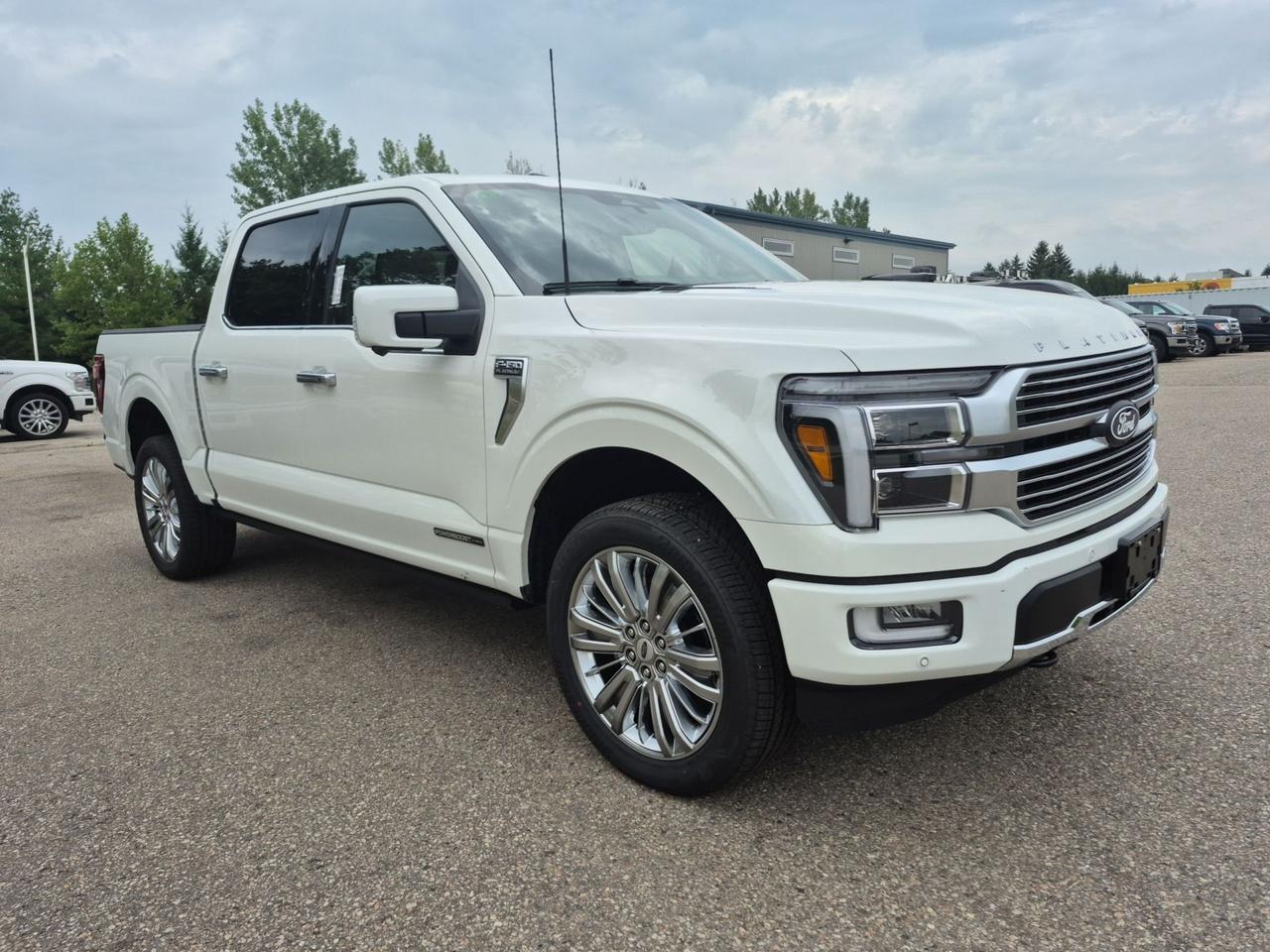 2026 Ford F-150 PLATINUM HYBRID!!! PANO ROOF, POWER RUNNING BOARDS Photo
