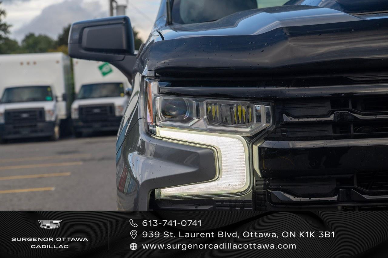 2024 Chevrolet Silverado 1500 Crew Cab Short Box 4-Wheel Drive LT Trail Boss Photo