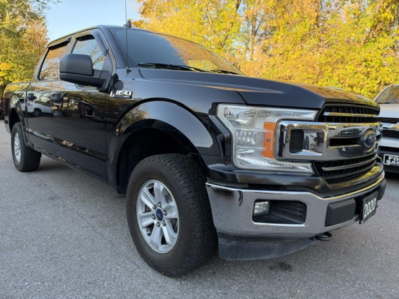 2020 Ford F-150 XLT CREW CAB SHORT B 4WD SUPERCREW Photo