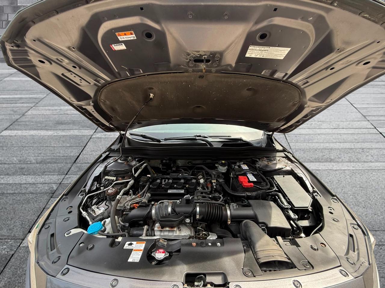2019 Honda Accord Touring Photo