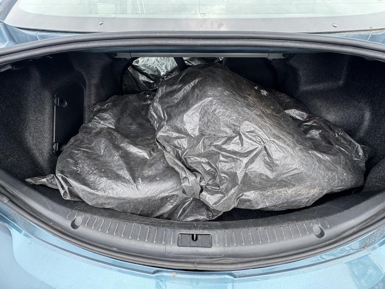 2010 Mazda MAZDA3 GX Photo
