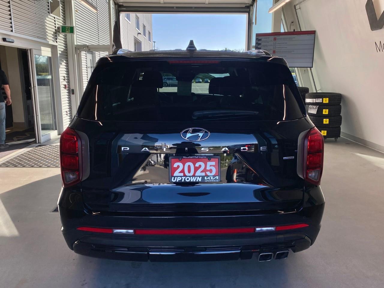 2025 Hyundai PALISADE Urban 7 Passenger 4dr All-Wheel Drive Photo
