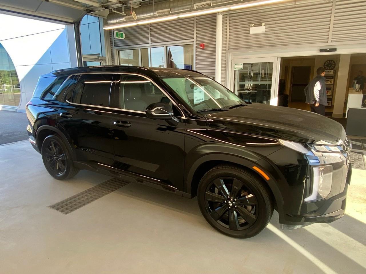 2025 Hyundai PALISADE Urban 7 Passenger 4dr All-Wheel Drive Photo
