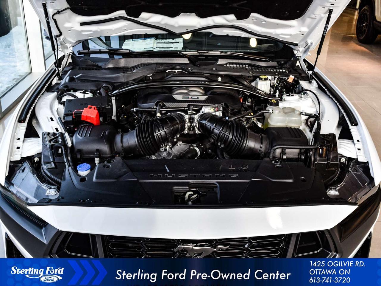 2024 Ford Mustang Dark Horse Photo