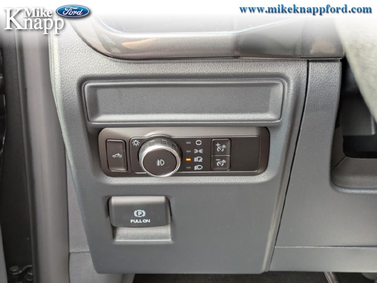 2026 Ford F-150 STX Photo