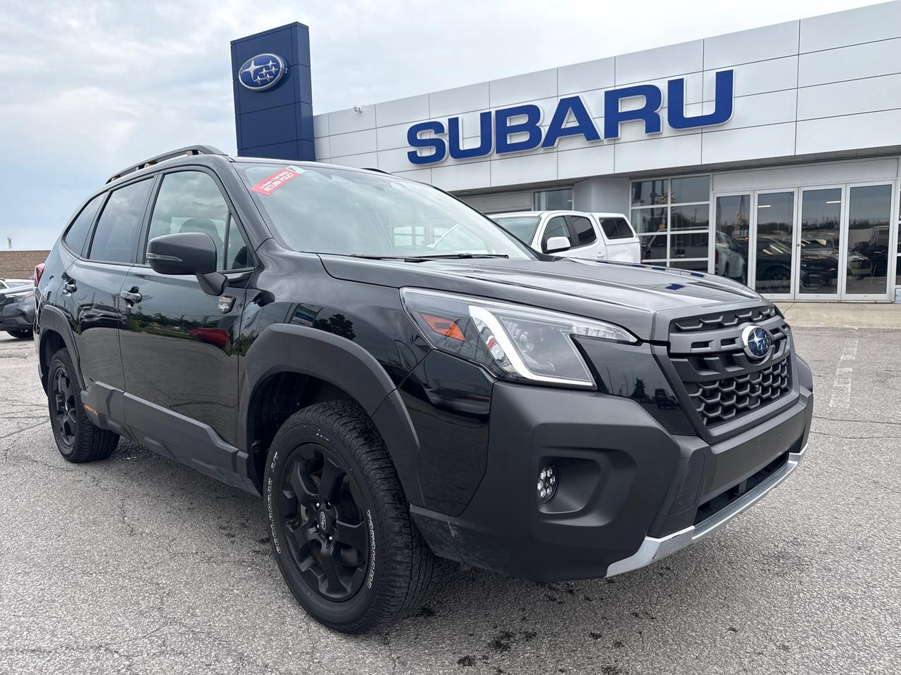 2024 Subaru Forester Wilderness 4dr All-Wheel Drive Photo