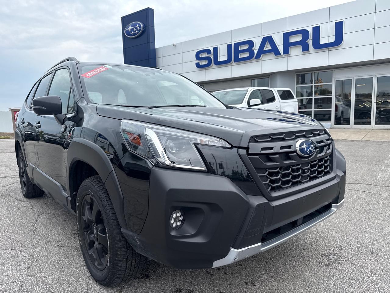 2024 Subaru Forester Wilderness 4dr All-Wheel Drive Photo