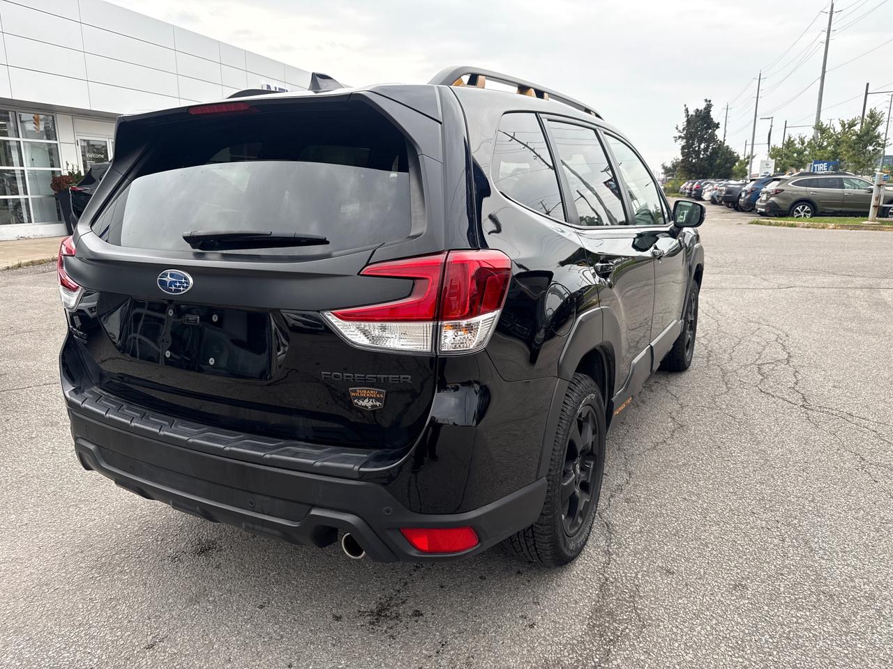 2024 Subaru Forester Wilderness 4dr All-Wheel Drive Photo