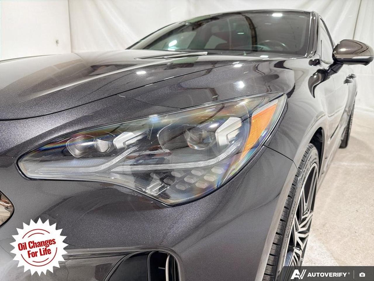 2023 Kia Stinger  Photo