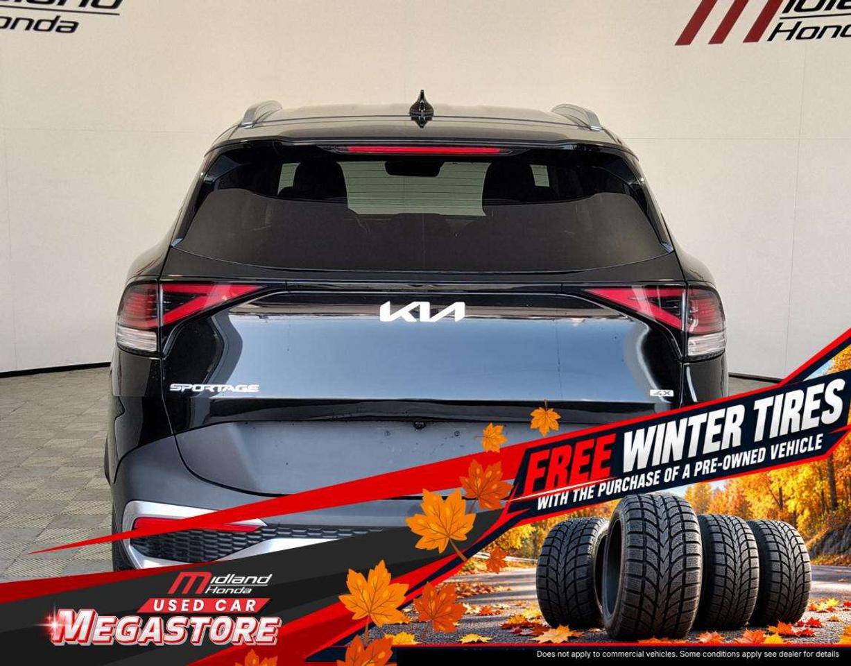 2023 Kia Sportage LX Photo