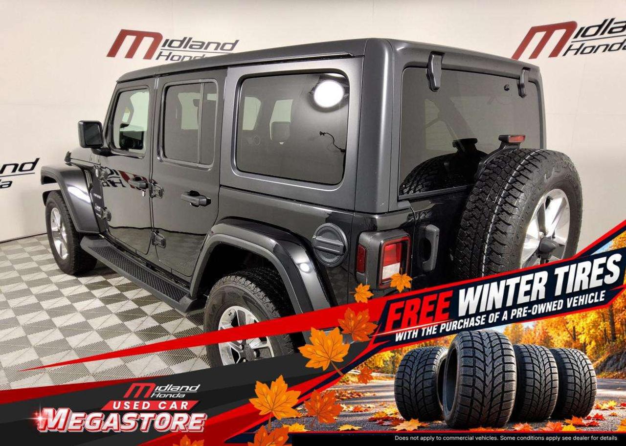 2019 Jeep Wrangler Sahara Photo