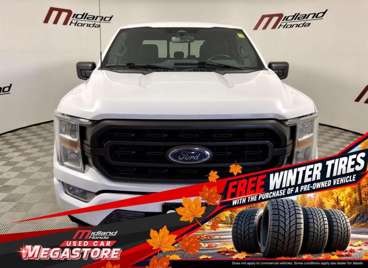 2022 Ford F-150 XLT Photo